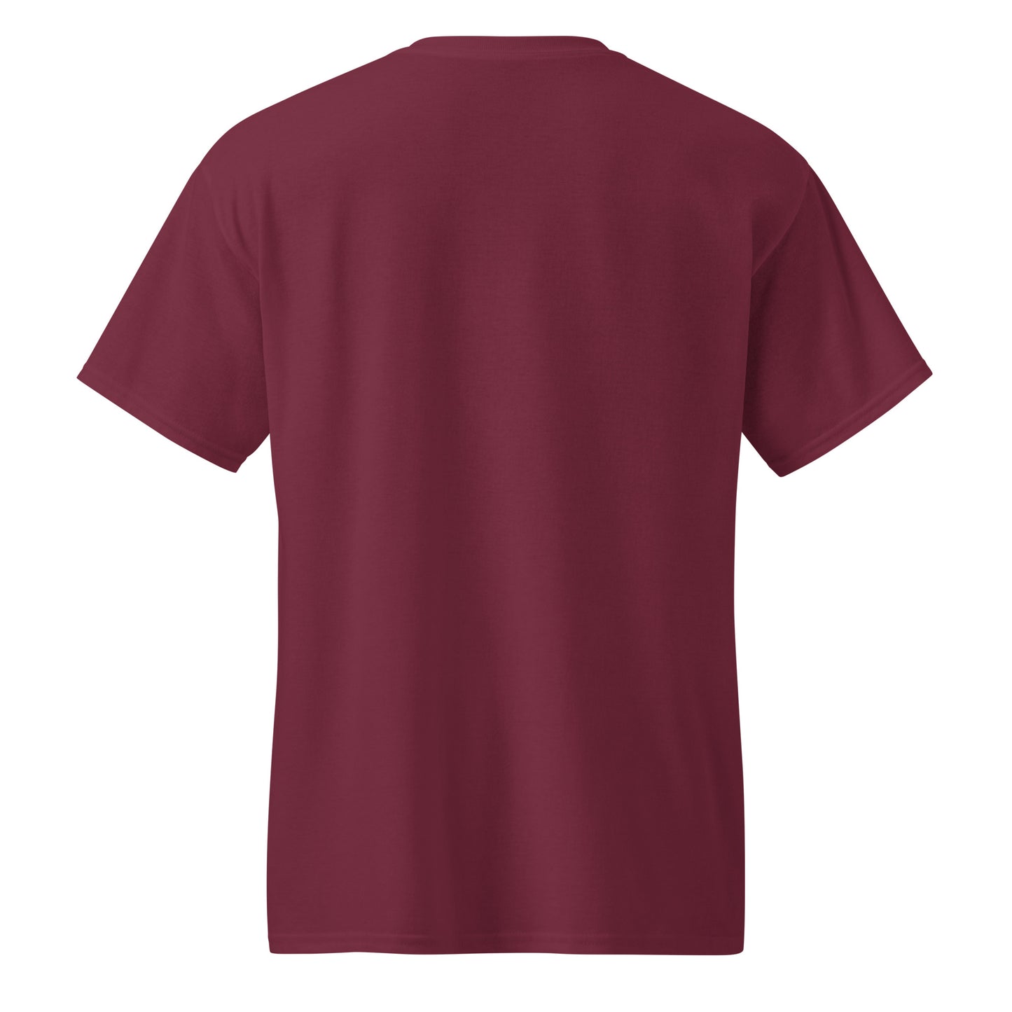 DryBlend® Unisex Sports Tee